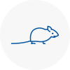 Mice Exterminators In Grays